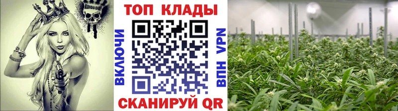 Наркотические вещества Шенкурск ГАШ  Мефедрон 