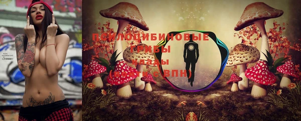 марки nbome Богданович