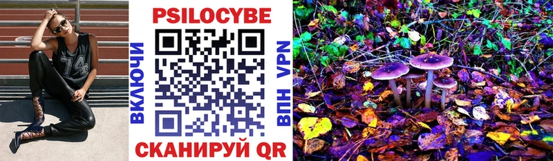 купить  сайты  Шенкурск  Галлюциногенные грибы Magic Shrooms 